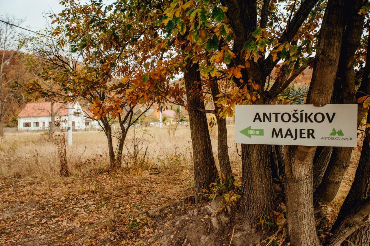 Гостевой дом Antosikov Majer Банска-Штьявница Экстерьер фото